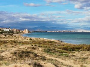 beach, sea, sand